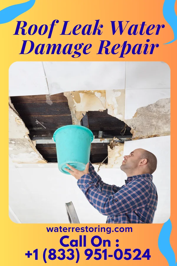 Roof Leak Water Damage Repair in Campbellsville, KY