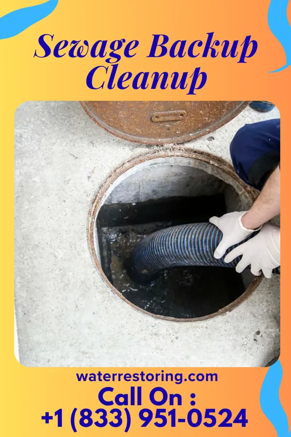 Sewage Backup Cleanup in Campbellsville, KY